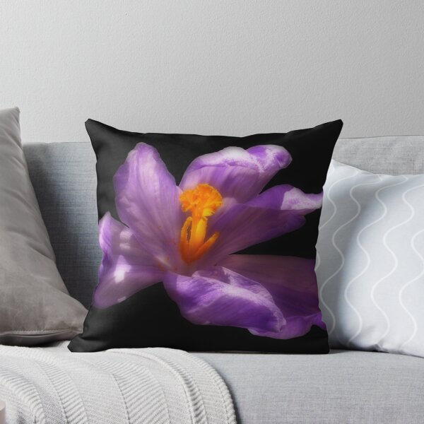 Item preview, Purple Crocus Flower on Black Background designed and sold by MajikFlower.