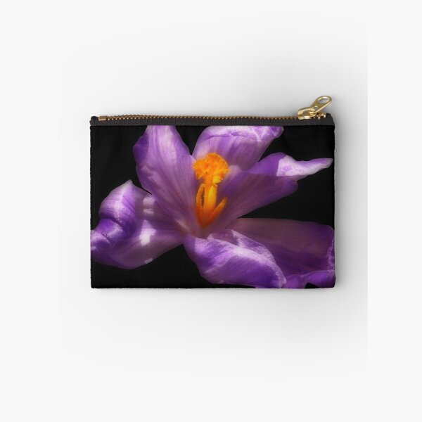 Item preview, Purple Crocus Flower on Black Background designed and sold by MajikFlower.