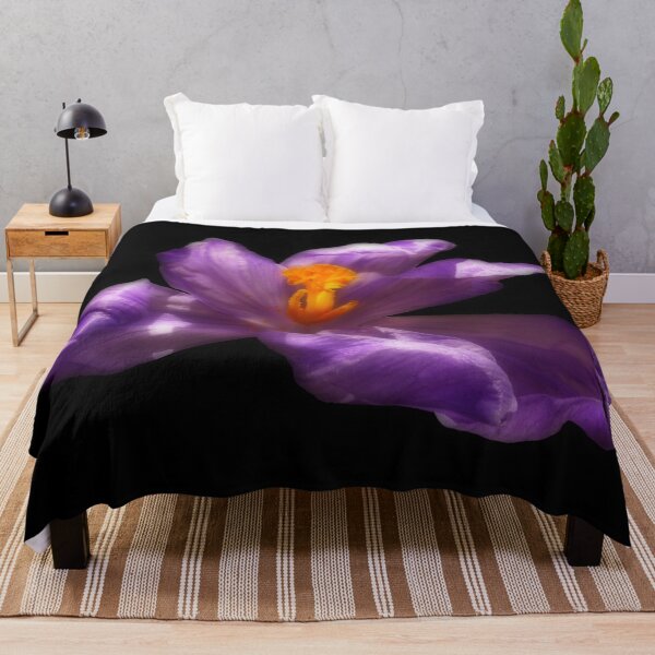 Item preview, Purple Crocus Flower on Black Background designed and sold by MajikFlower.