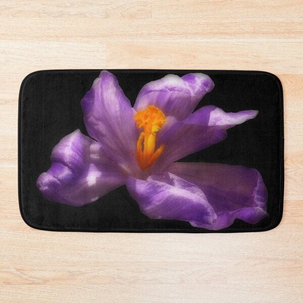 Item preview, Purple Crocus Flower on Black Background designed and sold by MajikFlower.