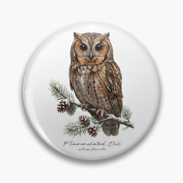 Item preview, Flammulated Owl on Snowy Pine Tree designed and sold by Takeda-art.