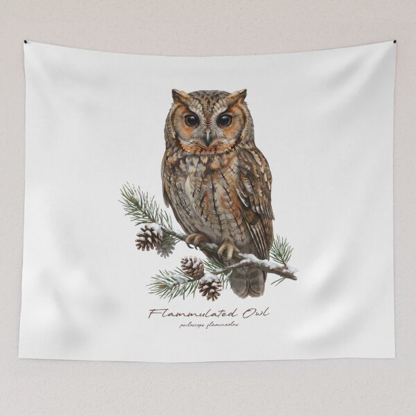 Item preview, Flammulated Owl on Snowy Pine Tree designed and sold by Takeda-art.