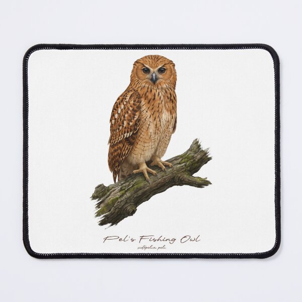 Item preview, Pel's Fishing Owl on Mossy Branch designed and sold by Takeda-art.