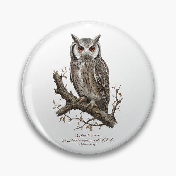 Item preview, Northern White-faced Owl on Branch designed and sold by Takeda-art.