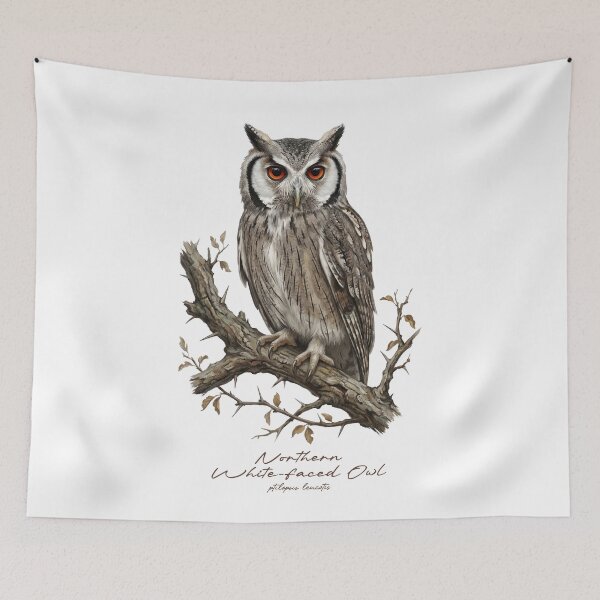 Item preview, Northern White-faced Owl on Branch designed and sold by Takeda-art.