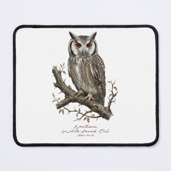 Item preview, Northern White-faced Owl on Branch designed and sold by Takeda-art.