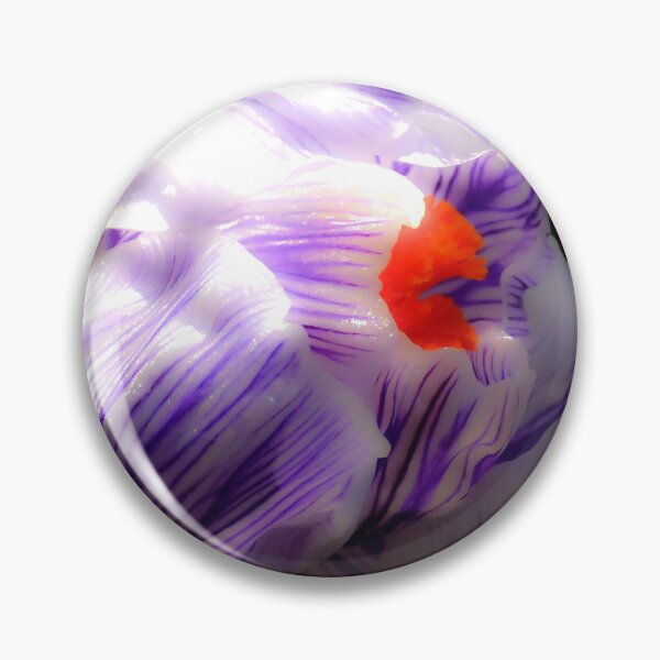 Item preview, Striped Purple Crocus Flower on Black Background designed and sold by MajikFlower.