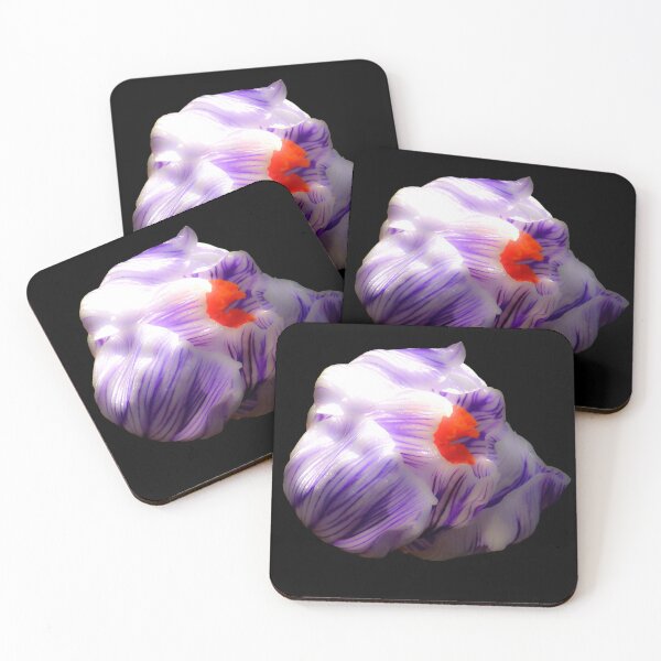 Item preview, Striped Purple Crocus Flower on Black Background designed and sold by MajikFlower.