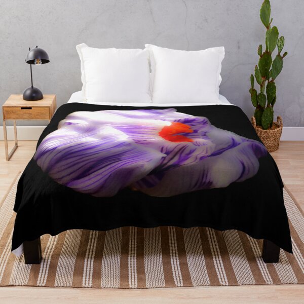 Item preview, Striped Purple Crocus Flower on Black Background designed and sold by MajikFlower.