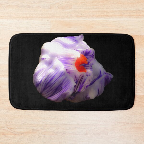 Item preview, Striped Purple Crocus Flower on Black Background designed and sold by MajikFlower.