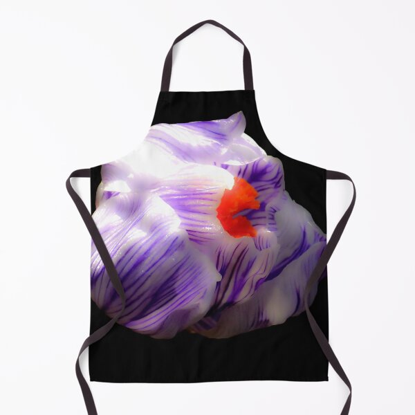 Item preview, Striped Purple Crocus Flower on Black Background designed and sold by MajikFlower.