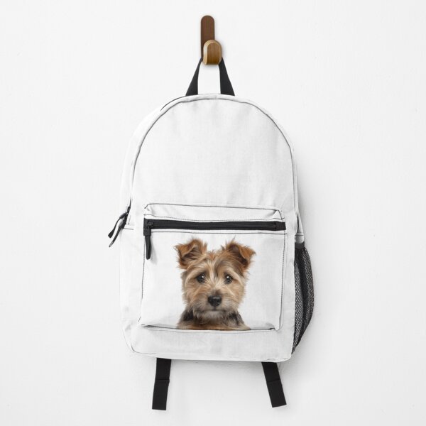 Item preview, Adorable Norwich Terrier pup for Cute Jones Terrier puppy lovers designed and sold by LazyOwlStore.