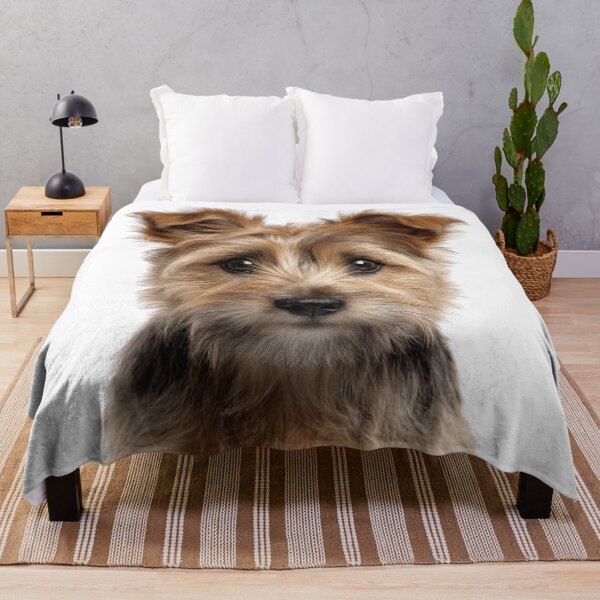 Item preview, Adorable Norwich Terrier pup for Cute Jones Terrier puppy lovers designed and sold by LazyOwlStore.
