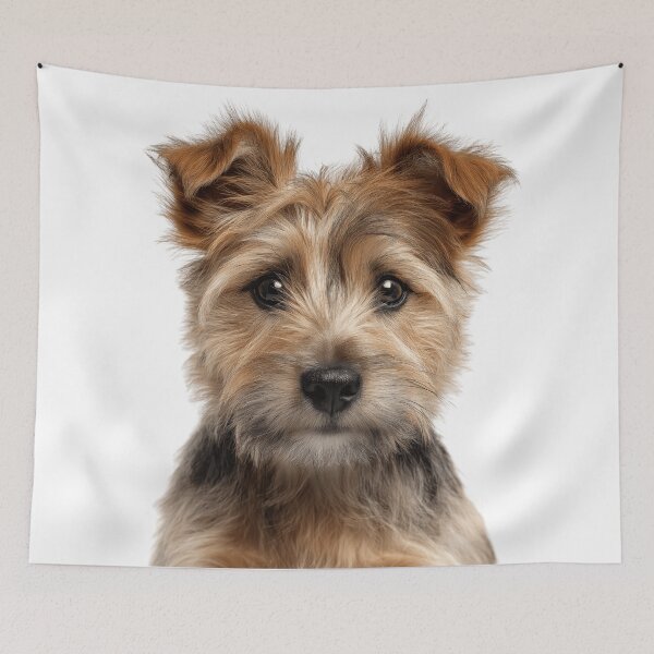 Item preview, Adorable Norwich Terrier pup for Cute Jones Terrier puppy lovers designed and sold by LazyOwlStore.