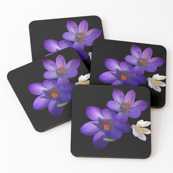 Item preview, Purple and White Crocus Flowers on Black Background designed and sold by MajikFlower.