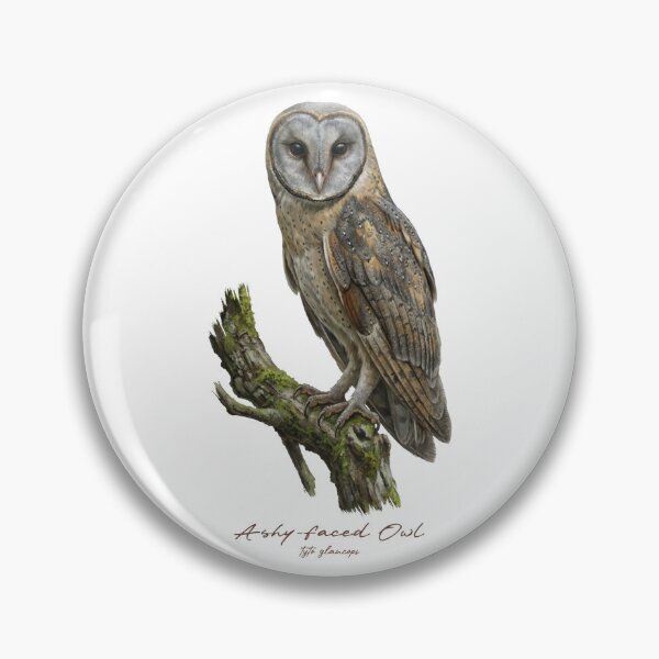Item preview, Ashy-faced Owl on Mossy Branch designed and sold by Takeda-art.