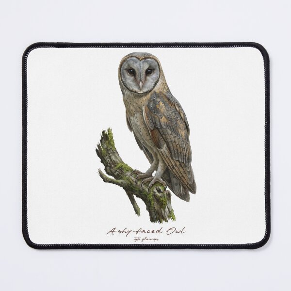 Item preview, Ashy-faced Owl on Mossy Branch designed and sold by Takeda-art.
