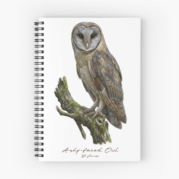 Item preview, Ashy-faced Owl on Mossy Branch designed and sold by Takeda-art.