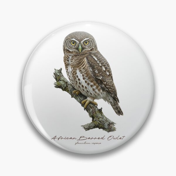 Item preview, African Barred Owlet on Rustic Branch designed and sold by Takeda-art.