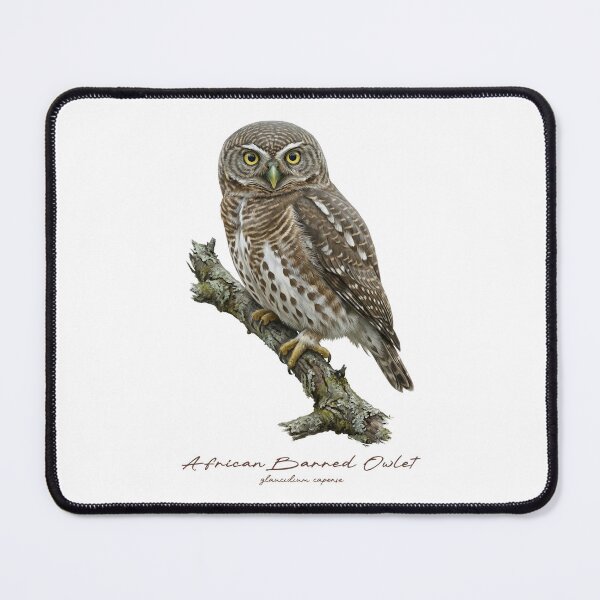 Item preview, African Barred Owlet on Rustic Branch designed and sold by Takeda-art.