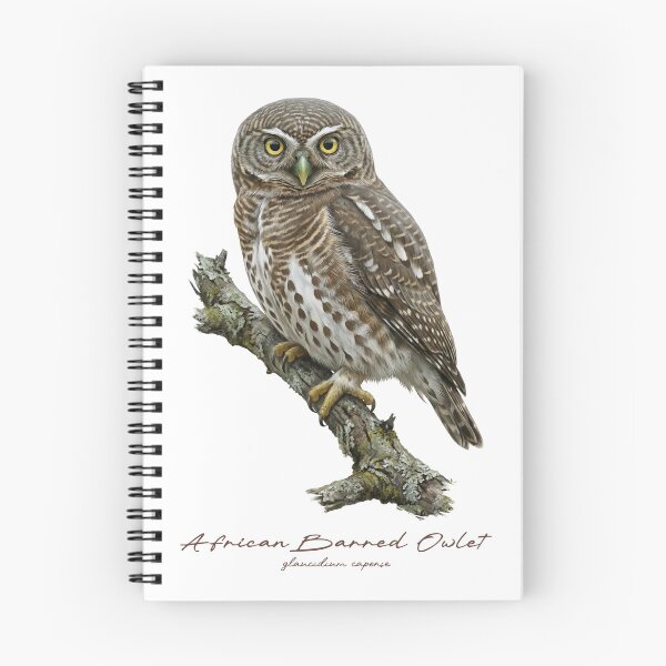 Item preview, African Barred Owlet on Rustic Branch designed and sold by Takeda-art.