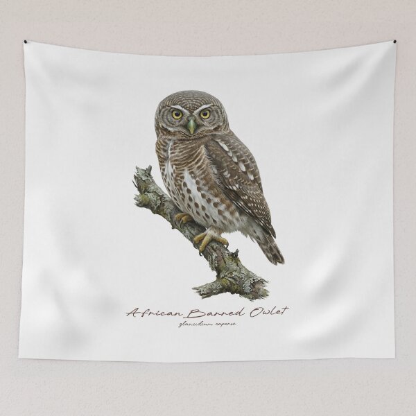 Item preview, African Barred Owlet on Rustic Branch designed and sold by Takeda-art.