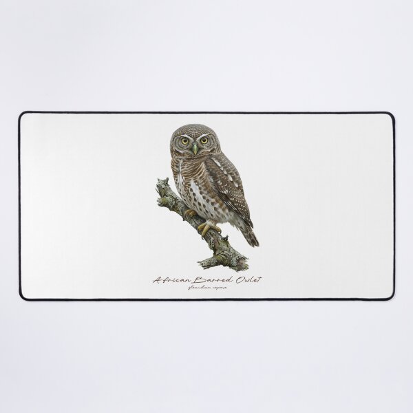 Item preview, African Barred Owlet on Rustic Branch designed and sold by Takeda-art.