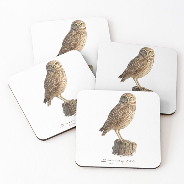 Item preview, Burrowing Owl on Dry Stump designed and sold by Takeda-art.