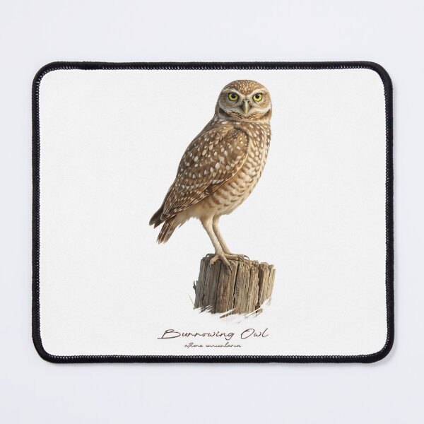 Item preview, Burrowing Owl on Dry Stump designed and sold by Takeda-art.