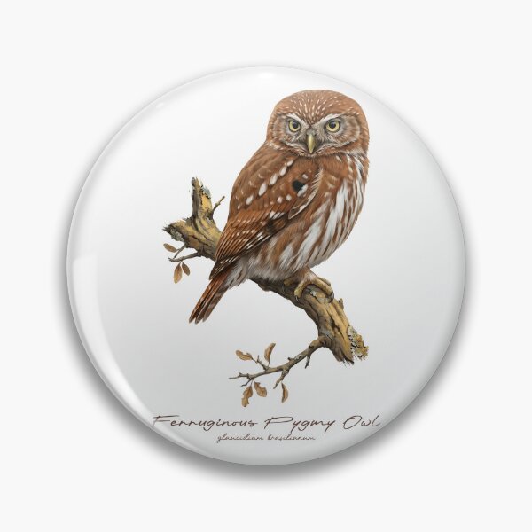 Item preview, Ferruginous Pygmy Owl on Rustic Tree designed and sold by Takeda-art.