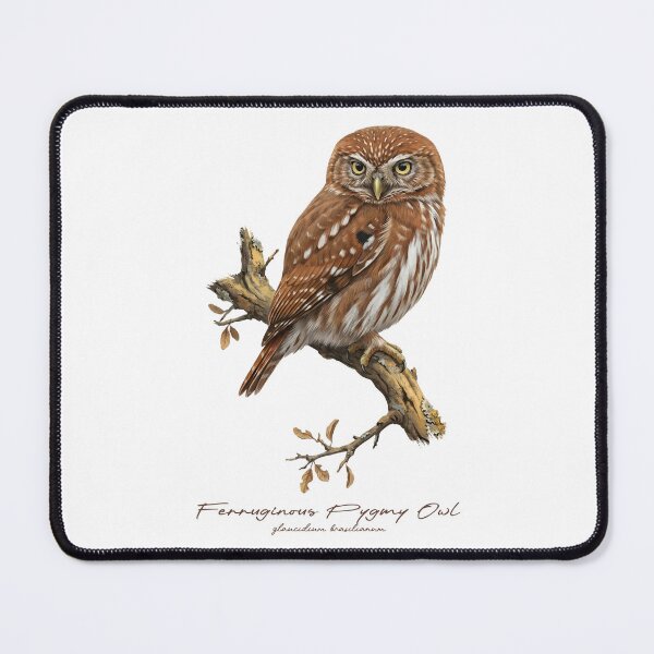 Item preview, Ferruginous Pygmy Owl on Rustic Tree designed and sold by Takeda-art.