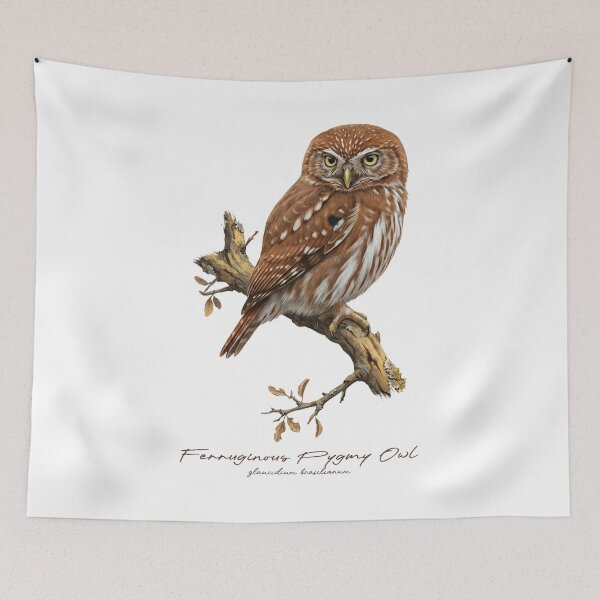 Item preview, Ferruginous Pygmy Owl on Rustic Tree designed and sold by Takeda-art.