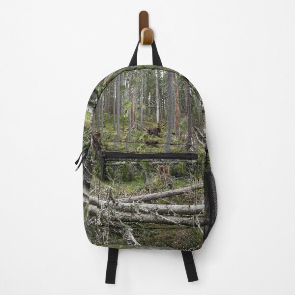 Item preview, Multiharju forest. Seitseminen National Park designed and sold by Jouko Lehto Photography.