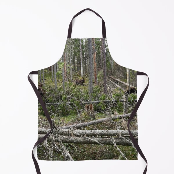 Item preview, Multiharju forest. Seitseminen National Park designed and sold by Jouko Lehto Photography.
