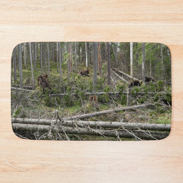 Item preview, Multiharju forest. Seitseminen National Park designed and sold by Jouko Lehto Photography.