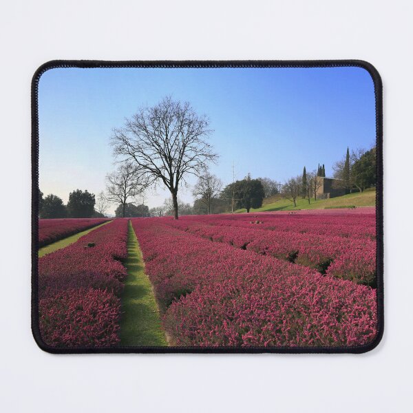 Item preview, The Costermano German Military Cemetery designed and sold by annalisa56.