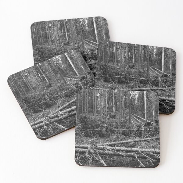 Item preview, Multiharju forest. bw Seitseminen National Park designed and sold by Jouko Lehto Photography.