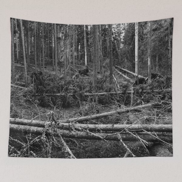 Item preview, Multiharju forest. bw Seitseminen National Park designed and sold by Jouko Lehto Photography.