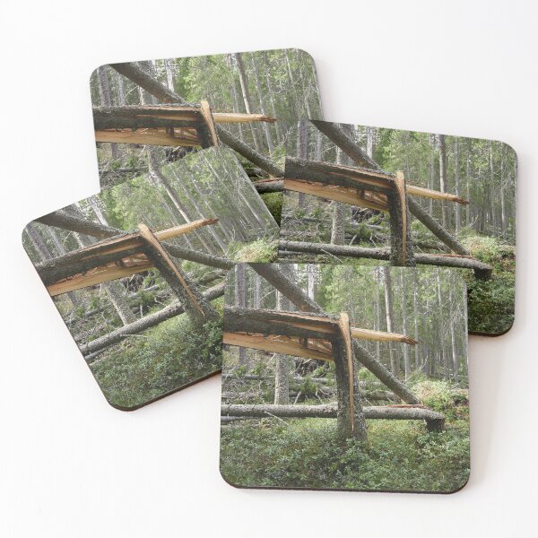 Item preview, Broken. Seitseminen National Park designed and sold by Jouko Lehto Photography.