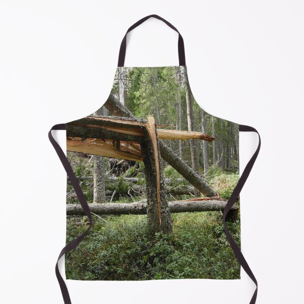 Item preview, Broken. Seitseminen National Park designed and sold by Jouko Lehto Photography.