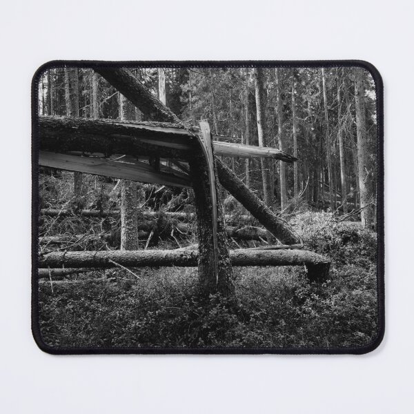 Item preview, Broken bw.  Seitseminen National Park designed and sold by Jouko Lehto Photography.