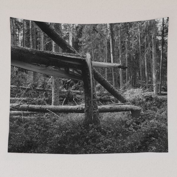 Item preview, Broken bw.  Seitseminen National Park designed and sold by Jouko Lehto Photography.