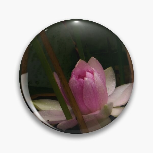 Item preview, Pink Water Lily with Dew Drops designed and sold by MajikFlower.