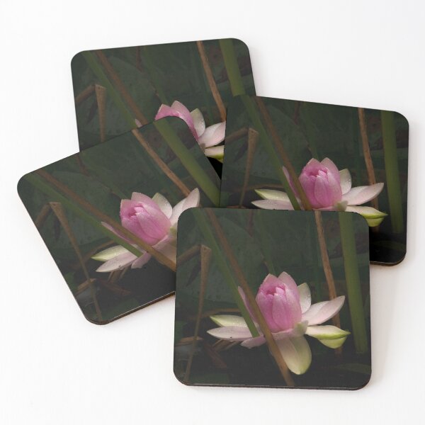 Item preview, Pink Water Lily with Dew Drops designed and sold by MajikFlower.