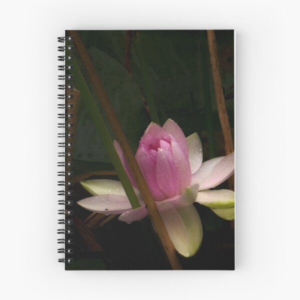 Item preview, Pink Water Lily with Dew Drops designed and sold by MajikFlower.