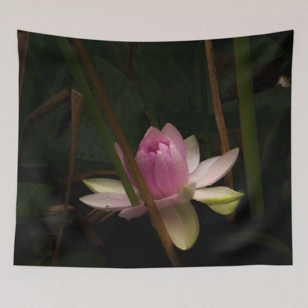 Item preview, Pink Water Lily with Dew Drops designed and sold by MajikFlower.