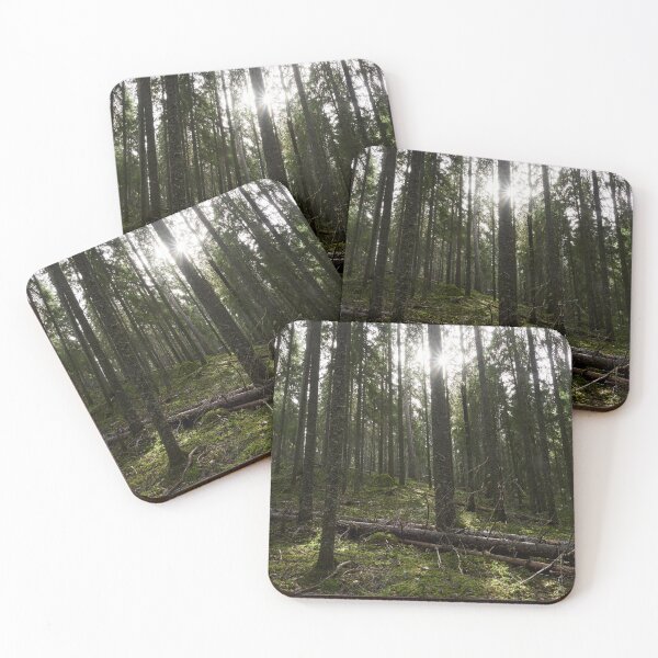 Item preview, Backlight. Seitseminen National Park designed and sold by Jouko Lehto Photography.