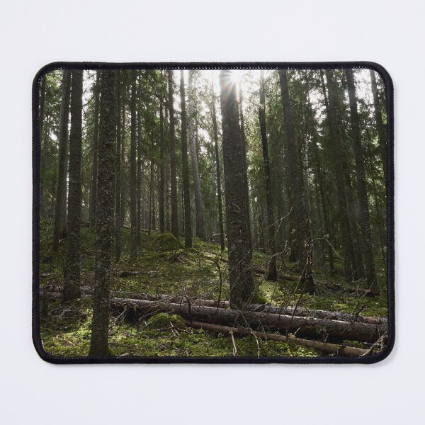 Item preview, Backlight. Seitseminen National Park designed and sold by Jouko Lehto Photography.