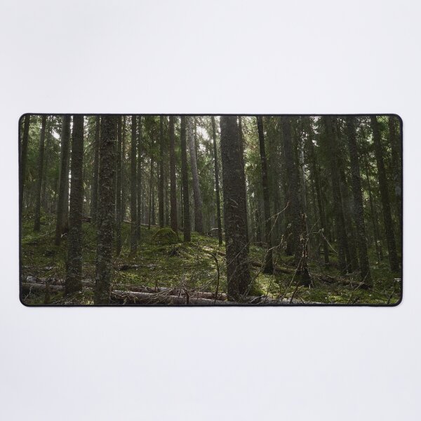 Item preview, Backlight. Seitseminen National Park designed and sold by Jouko Lehto Photography.