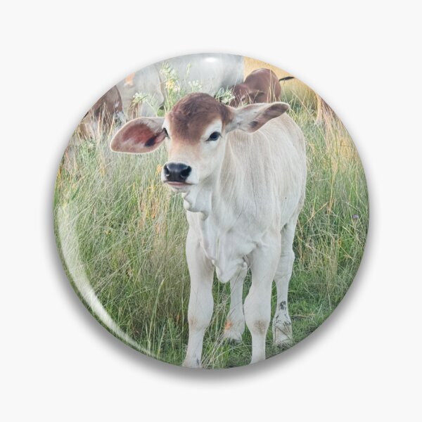 Item preview, Red top heifer designed and sold by Penny Kittel.